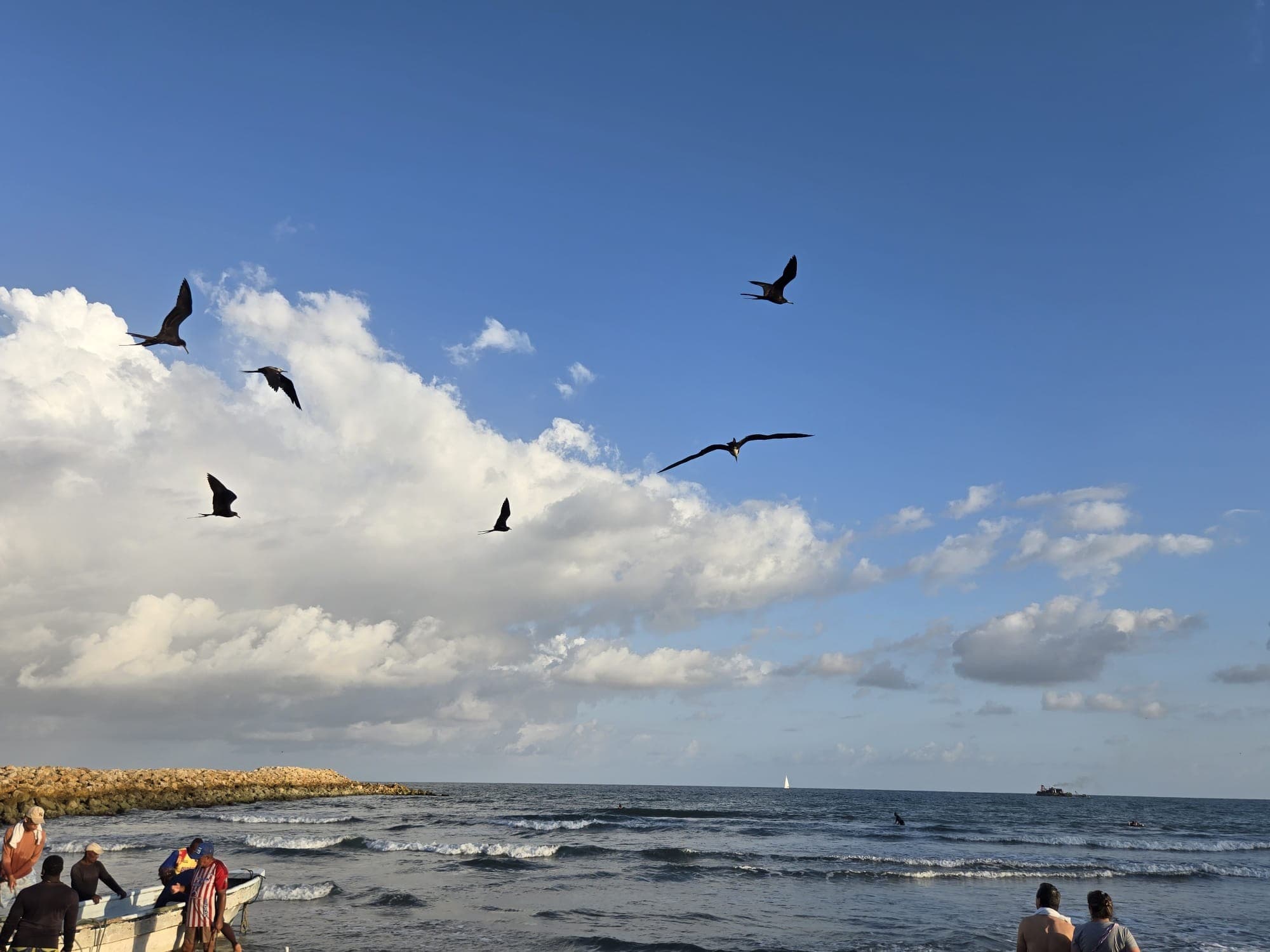 Playa y mar del Caribe con aves volando bajo las nubes.
