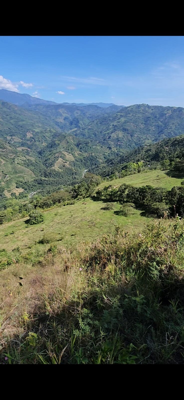Potrero en pendiente con montañas al fondo bajo cielo despejado.
